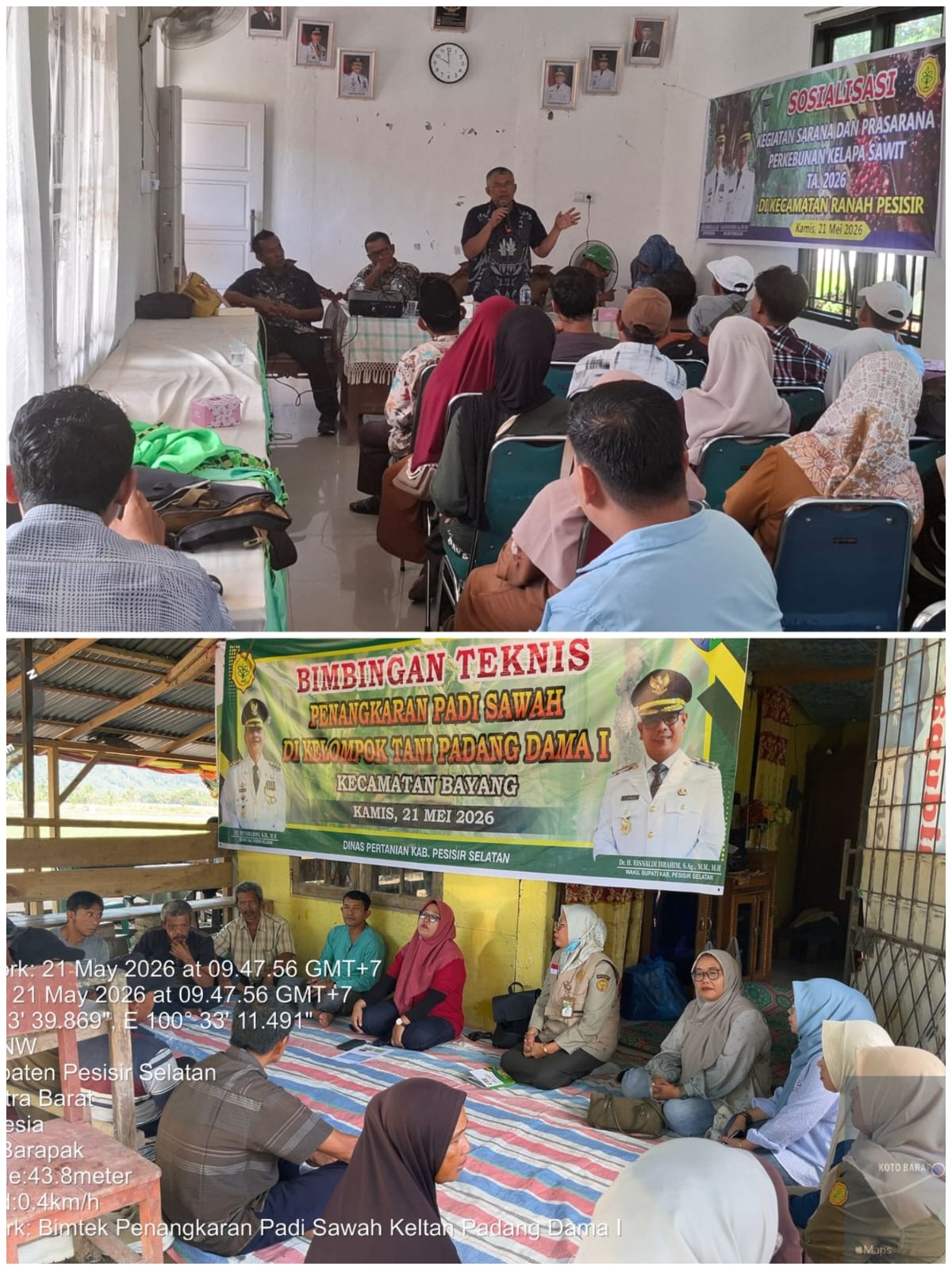 Penguatan Petani Pesisir Selatan Difokuskan pada Kemandirian Benih dan Optimalisasi Sawit